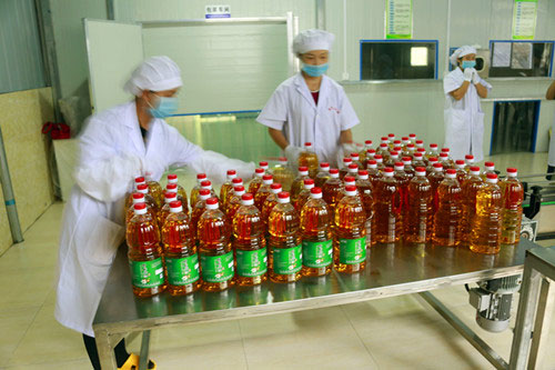 湖北有機(jī)山茶油