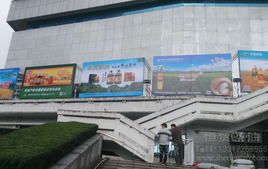 湖北有機(jī)山茶油