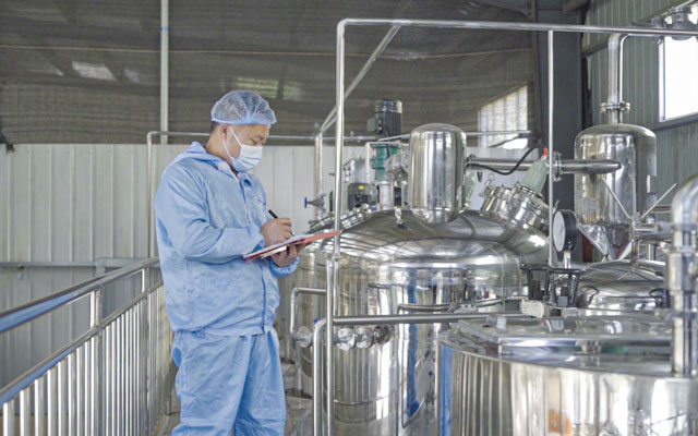 山茶油生產(chǎn)