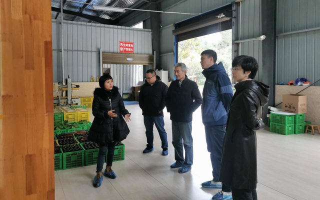 2021年12月28日中南民大教授、州發(fā)改委領(lǐng)導(dǎo)到廠里視察